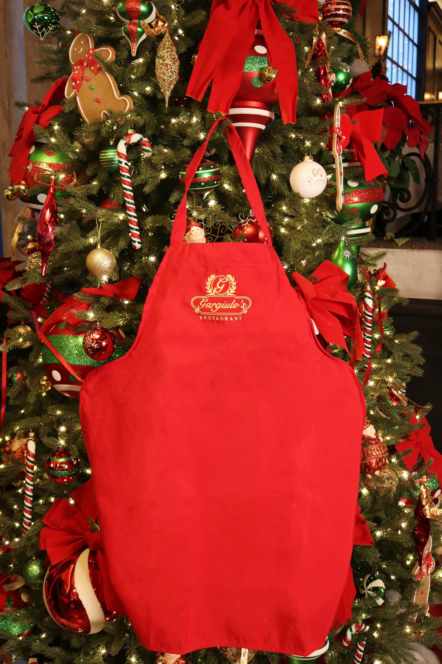 Apron